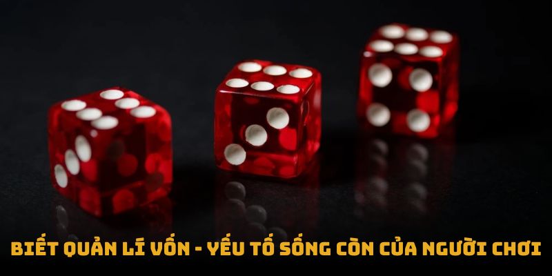 Biết quản lí vốn - yếu tố sống còn của người chơi Biết quản lí vốn - yếu tố sống còn của người chơi